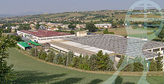 Messerś: azienda